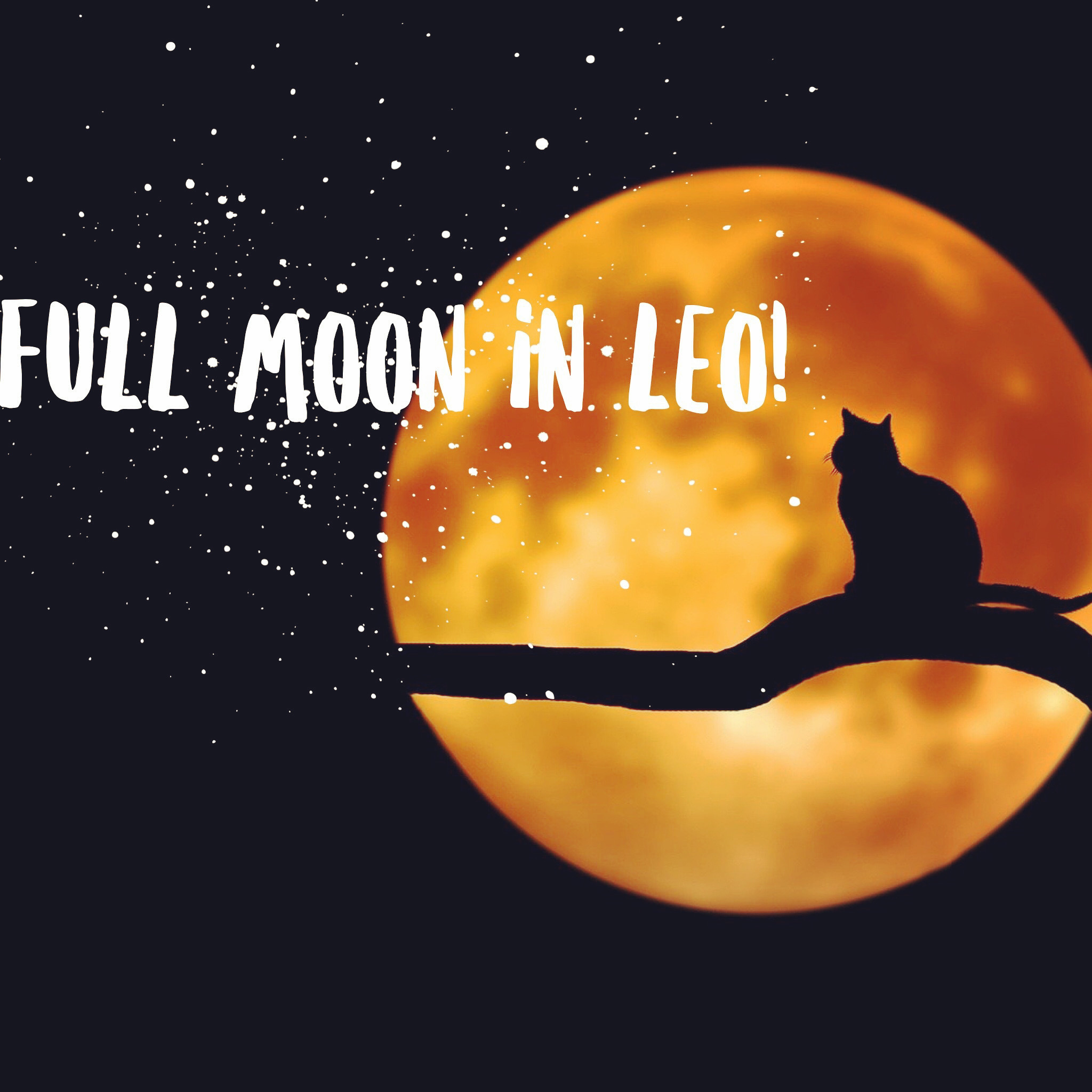 leo moon date